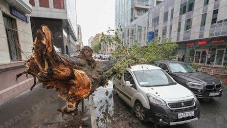 Свежие новости: ВИДЕО:  Ураган в Москве повредил Кремль