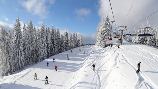 Свежие новости: 