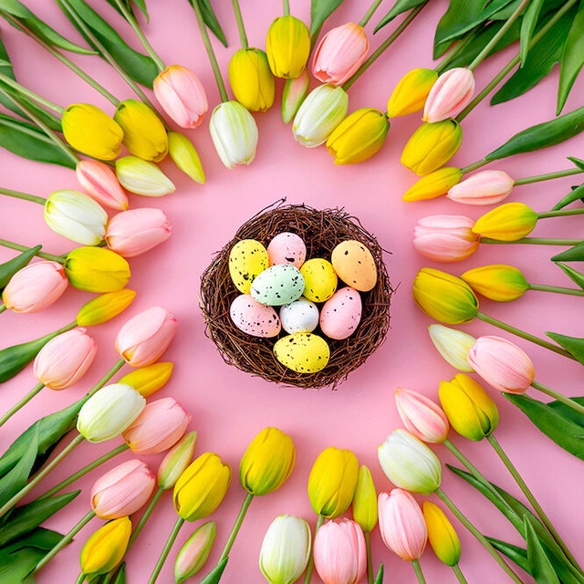 Свежие новости: Папа Римский Франциск поздравил православных с Пасхой