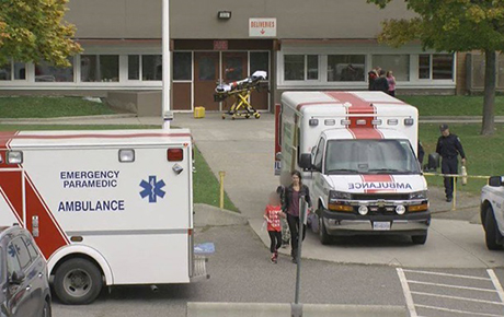 Свежие новости: В Канаде осы покусали 135 детей во время спортивных соревнований