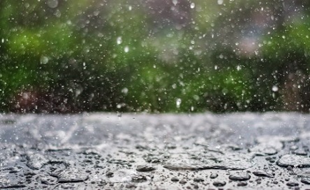 Свежие новости: Грозовые дожди и до +20 на юге: погода в Украине на сегодня