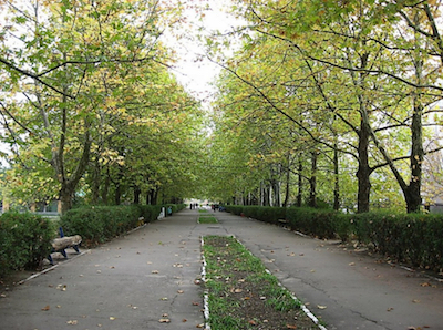 Свежие новости: Все зеленые зоны Николаева передали на баланс КП «Парки»