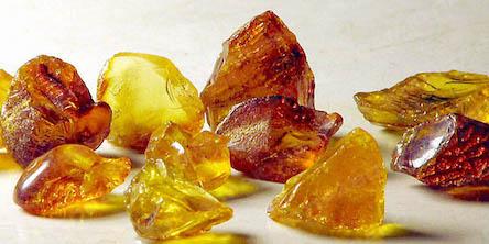 Свежие новости: ВИДЕО: Одесские пограничники изъяли партию янтаря