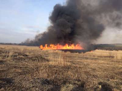 Свежие новости: На Николаевщине за сутки выгорело 7 га