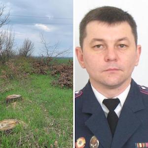 Свежие новости: На территории Александровского поселкового совета Вознесенского района снова обнаружены следы незаконной вырубки посадок