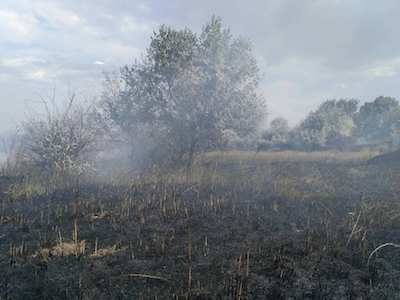Свежие новости: В Николаевской области спасатели тушат сухую траву на значительной площади