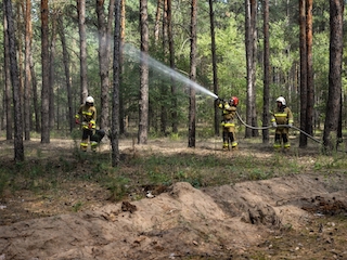 Свежие новости: На Миколаївщині горів молодий ліс та суха трава через уламки збитого дрону