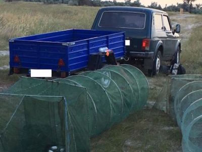 Свежие новости: ВИДЕО. На Миколаївщині браконьєри виловили понад 40 тисяч креветок та 100 крабів з Червоної книги