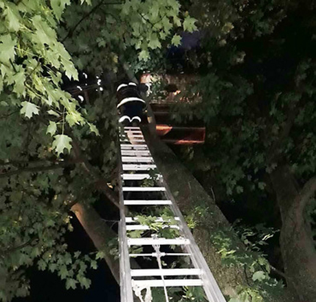 Свежие новости: На Кировоградщине ветер занес на дерево воздушный шар с людьми