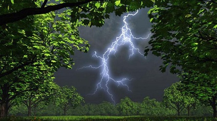 Свежие новости: Погода на неделю: Украину накроют грозовые дожди