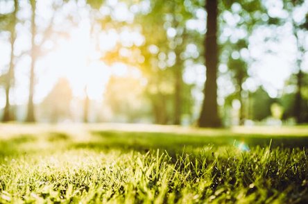 Свежие новости: Погода на 8 июля: долгожданная прохлада придет во все области