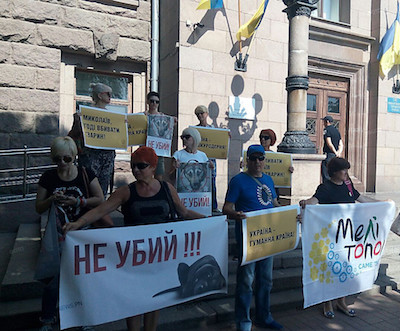 Свежие новости: После эвтаназии 70 собак в Николаеве по всей Украине проходит акция зоозащитников «Україна - не живодерня»