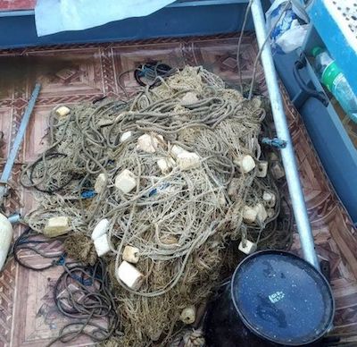 Свежие новости: На Николаевщине обнаружили браконьеров с «краснокнижным уловом»