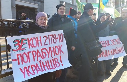 Свежие новости: 