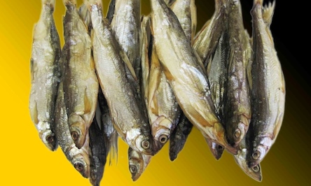 Свежие новости: В Харькове зафиксировали вспышку ботулизма