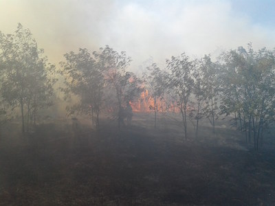 Свежие новости: В Снигиревке пожарные тушат сухую траву и мусор без остановки