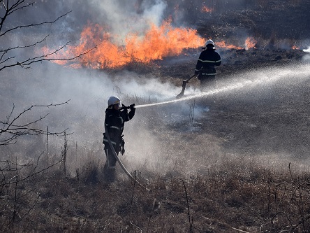 Свежие новости: ВІДЕО: На Миколаївщині вогнеборці гасять пожежі очерету та сухої трави