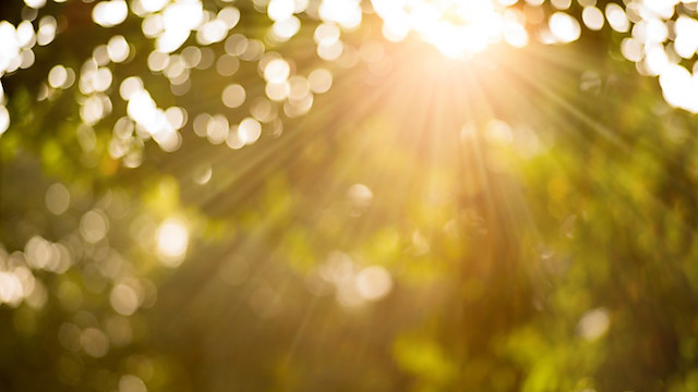 Свежие новости: На выходных на Николаевщине будет жаркая погода без дождей