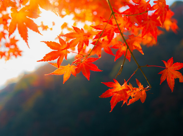 Свежие новости: Синоптики предупредили о резкой смене погоды в Украине