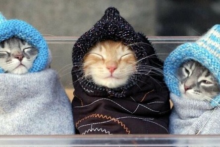 Свежие новости: Завтра на Николаевщине синоптики обещают похолодание и порывы ветра