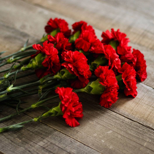 Фото новости: В Николаеве полиция обвинила директора КП «Ритуальная служба» во лжи — захоронения продолжатся Свежие новости: В Николаеве полиция обвинила директора КП «Ритуальная служба» во лжи — захоронения продолжатся