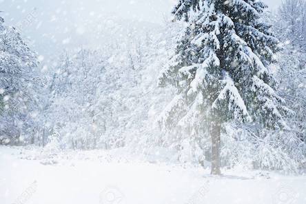 Свежие новости: Штормовое предупреждение объявлено почти во всех регионах Украины