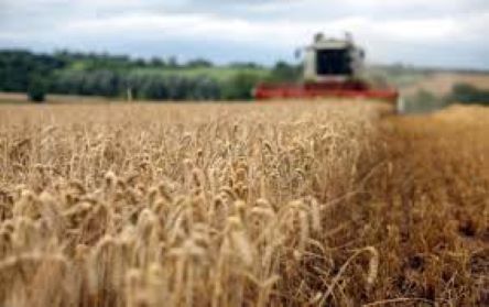 Свежие новости: Украина на первом месте по темпам роста агроэкспорта в ЕС