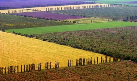 Свежие новости: В Украине заработал портал оценки земли