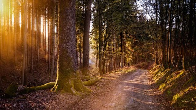 Свежие новости: Последние выходные лета подарят украинцам приятную жару