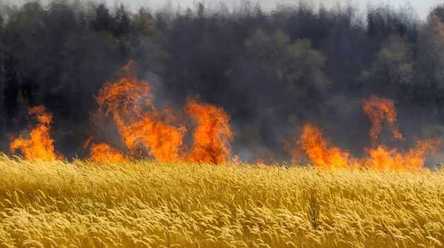 Свежие новости: В Вознесенском районе горело поле с пшеницей