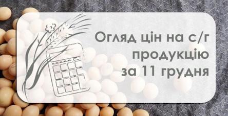 Свежие новости: Огляд цін на с/г продукцію за 11 грудня