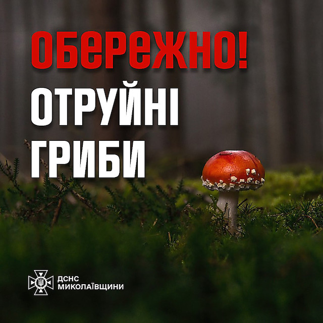 Фото новости: У Первомайську госпіталізували чоловіка з отруєнням грибами Свежие новости: У Первомайську госпіталізували чоловіка з отруєнням грибами
