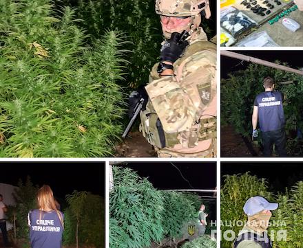 Свежие новости: Итоги операции «Мак»: На Николаевщине изъяли наркотиков на более 65 млн грн