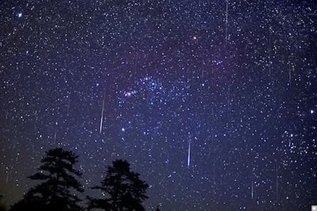 Свежие новости: Украинцы смогут увидеть яркий звездопад