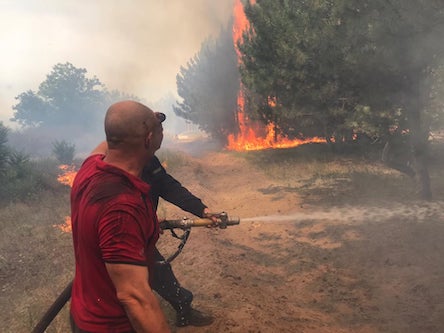 Свежие новости: В Новоодесском районе произошел пожар в лесном массиве