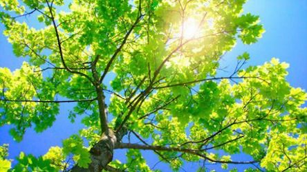 Свежие новости: Погода на выходные: где в Украине потеплеет до +30 градусов