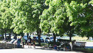 Свежие новости: В Южноукраїнську відбулися рейди з ліквідації та запобігання виникненню несанкціонованої торгівлі