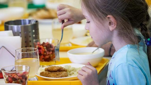 Свежие новости: Гороно Николаева сэкономило на питании в школах и садиках во время локдауна больше ₴5 млн