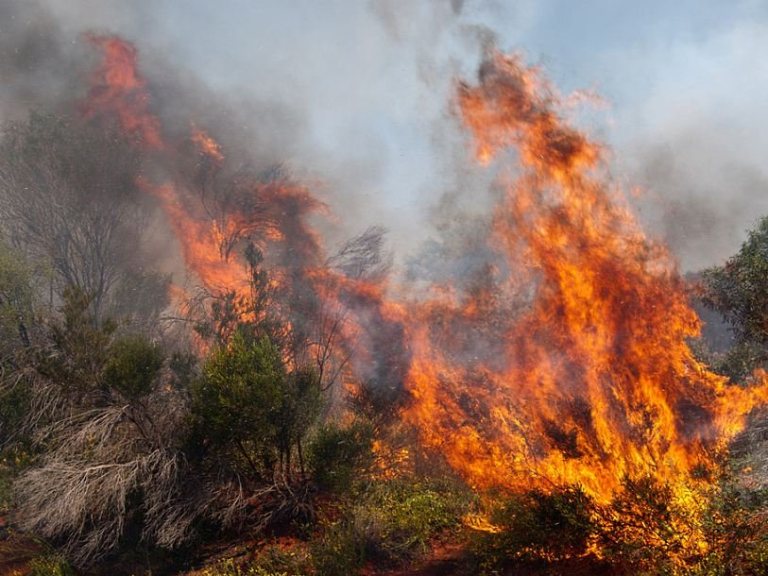 Свежие новости: В Николаевской области за один день произошло 26 пожаров