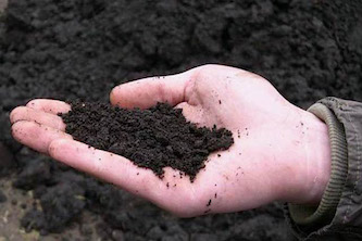 Свежие новости: В Украине снимают слой чернозема и продают в Турцию – эколог