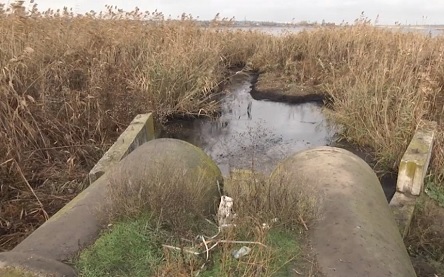 Свежие новости: В Николаеве угроза ЧС: в реку Ингул вылили нефтепродукты