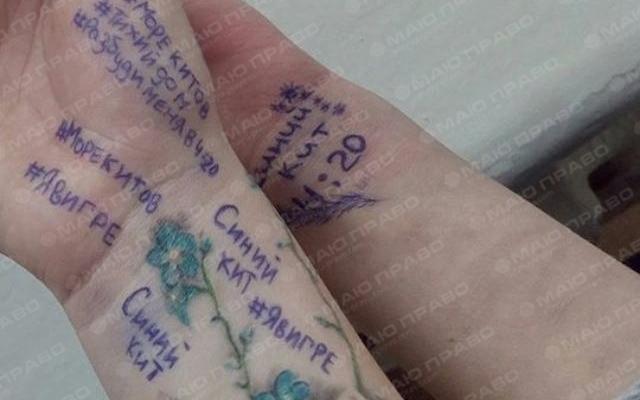 Свежие новости: ВИДЕО: Николаевец выявил место нахождения кураторов 