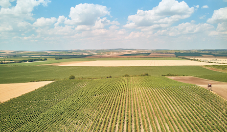 Свежие новости: С 10 июня регистрацию земельных участков в Госгеокадастре можно будет проводить онлайн