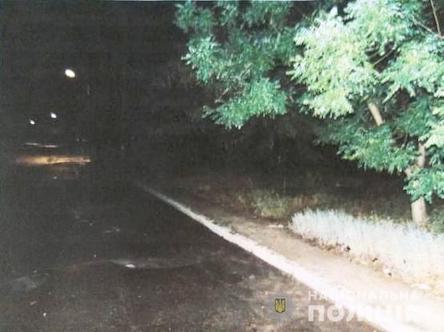 Свежие новости: В Николаеве мужчина изнасиловал женщину в кустах