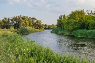 Свежие новости: У пробах води з річок Миколаївщини холери немає, але рівень кишкової палички значно перевищений