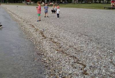 Свежие новости: В Одессе на пляже произошло убийство