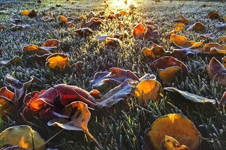 Свежие новости: В Украину идут дожди и мокрый снег: когда ждать похолодания