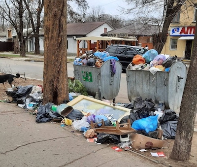 Свежие новости: В Николаеве возле мусорных баков образовалась мини-свалка