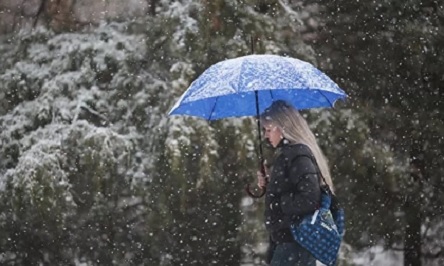 Свежие новости: 