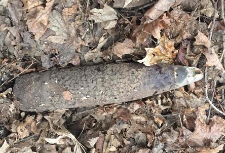 Свежие новости: В Первомайском районе пиротехники уничтожили артснаряд